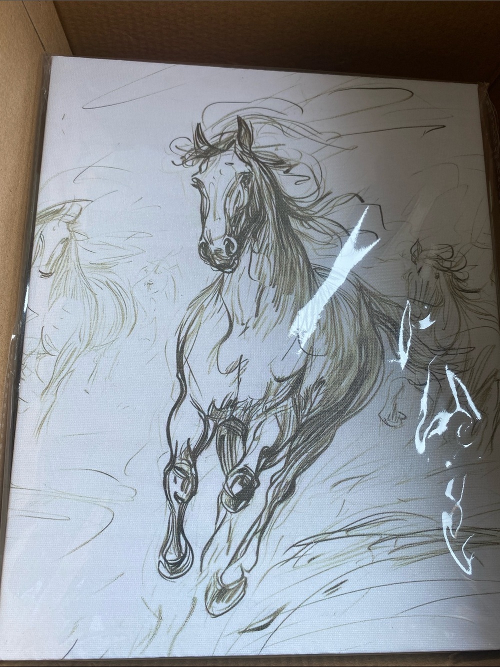 Hand-Drawn Galloping Horse Canvas Art - White and Black Sketch
